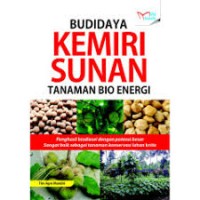 Image of Budidaya Kemiri Sunan Tanaman Bio energi